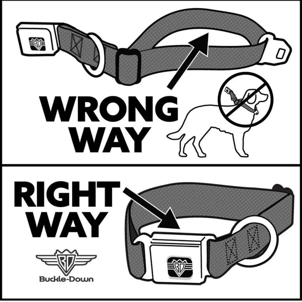 🍄‍🟫HOST PICK x 2🍄‍🟫Buckle-Down Seatbelt Buckle Dog Collar Alice in Wonderland